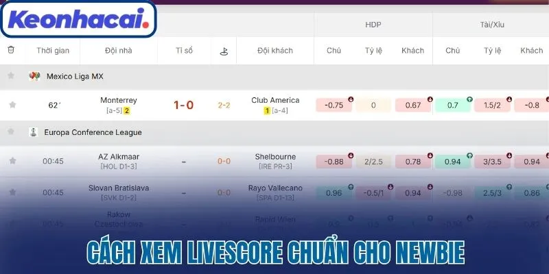 Cách xem Livescore chuẩn cho newbie