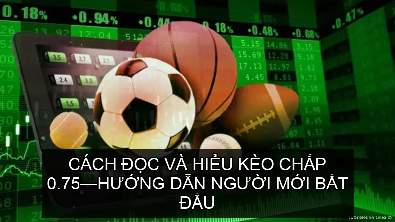 Cách đọc và hiểu Kèo chấp 0.75—Hướng dẫn người mới bắt đầu