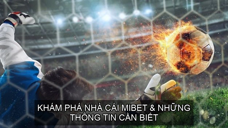  Khám Phá Nhà Cái Mibet & Những Thông Tin Cần Biết