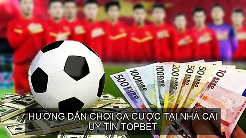  Hướng dẫn chơi cá cược tại Nhà cái uy tín TOPBET