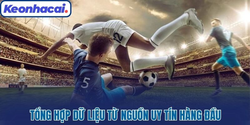 Tổng hợp dữ liệu từ nguồn uy tín hàng đầu