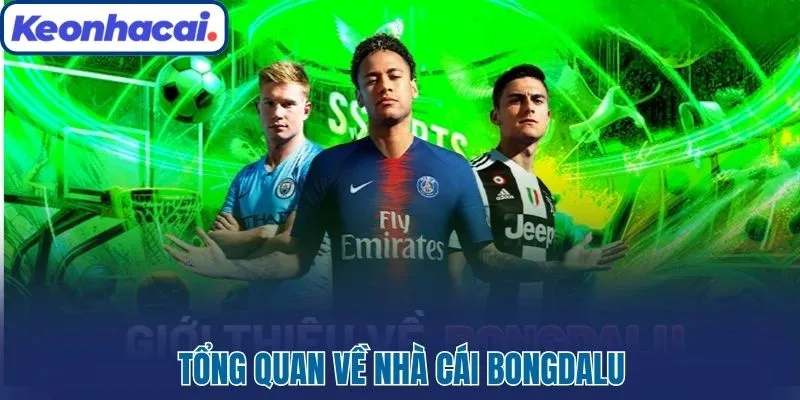 Tổng quan về nhà cái Bongdalu