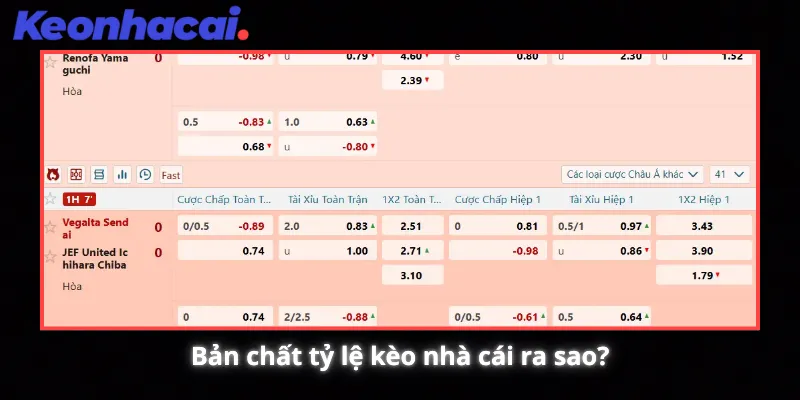 Bản chất tỷ lệ kèo nhà cái ra sao?