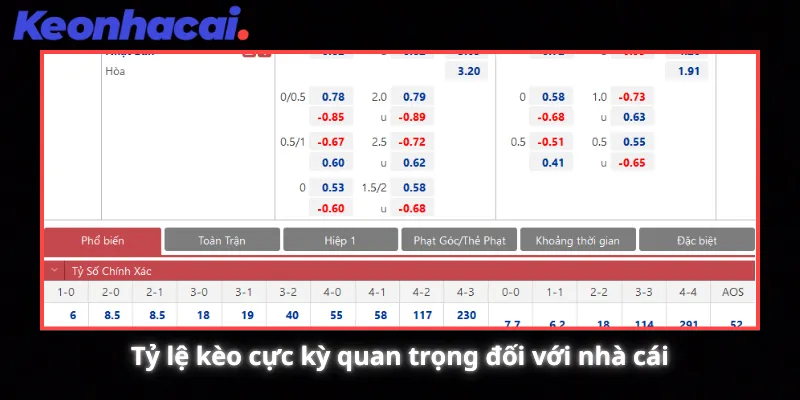 Tỷ lệ kèo cực kỳ quan trọng đối với nhà cái